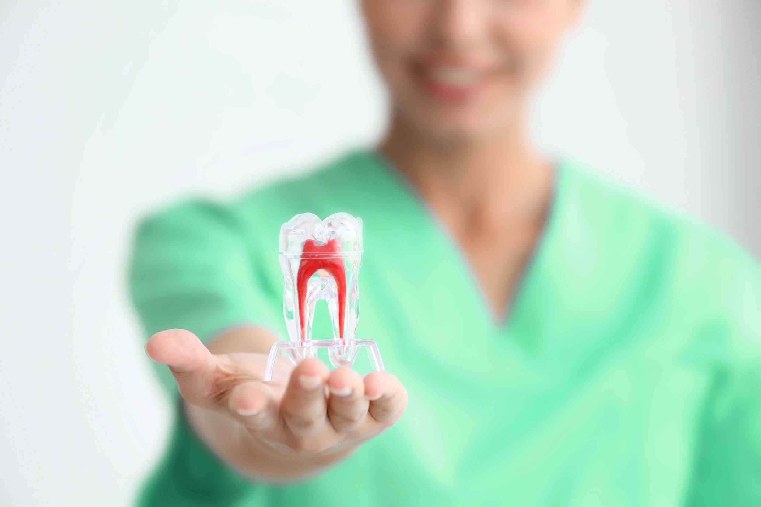 What to know about antibiotics and tooth infections Dobry Dental